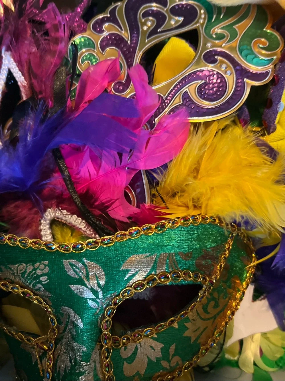 Mardis Gras bundle